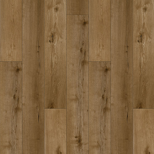 catalog-image