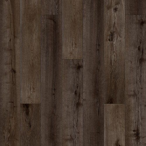 catalog-image