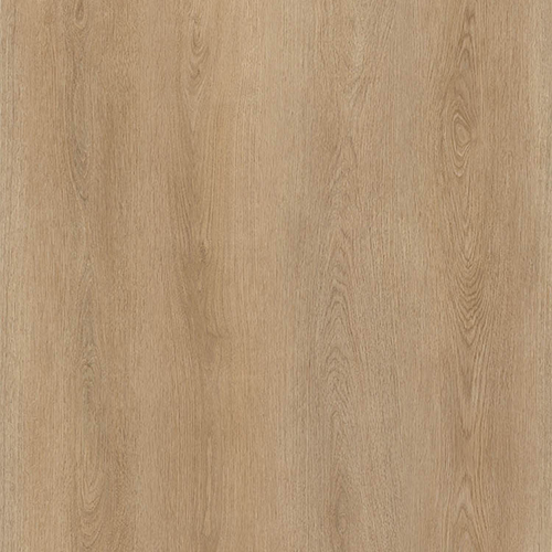 catalog-image