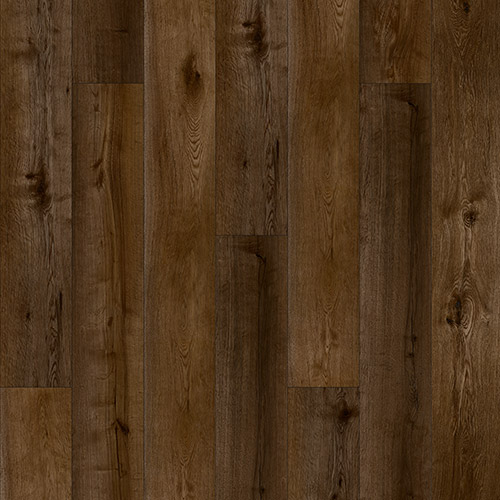 catalog-image