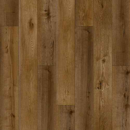 catalog-image