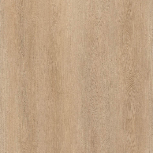 catalog-image