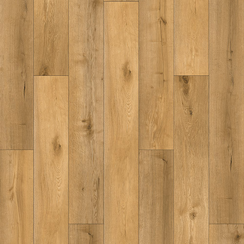 catalog-image