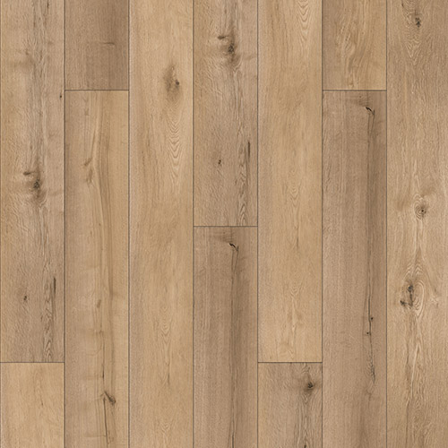 catalog-image