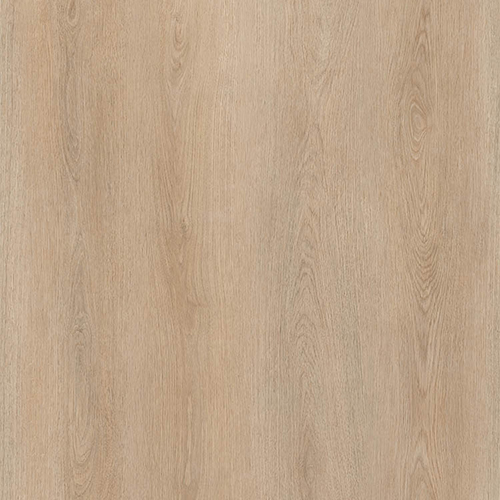catalog-image