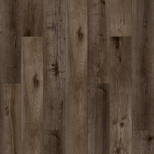 catalog-image